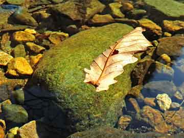 澳門最快開獎(jiǎng)結(jié)果開獎(jiǎng)，揭秘彩票背后的故事，澳門彩票開獎(jiǎng)背后的故事揭秘，快速開獎(jiǎng)結(jié)果揭曉