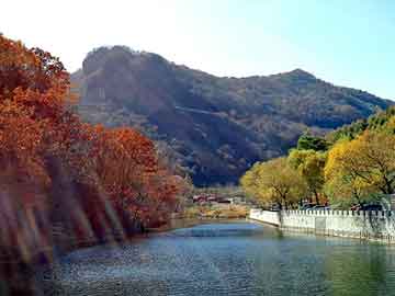 澳門最快開獎頻道，探索彩票開獎的實時速度與激情，澳門最快開獎頻道，實時探索彩票開獎的速度與激情