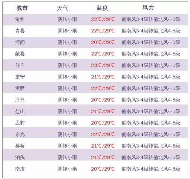 滄州公租房最新消息全面解讀，滄州公租房最新動態(tài)全面解析