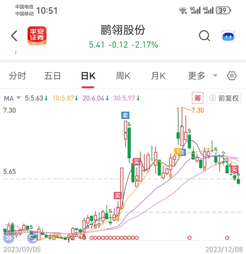 鵬翎股份最新消息全面解讀，鵬翎股份最新消息全面解讀與分析