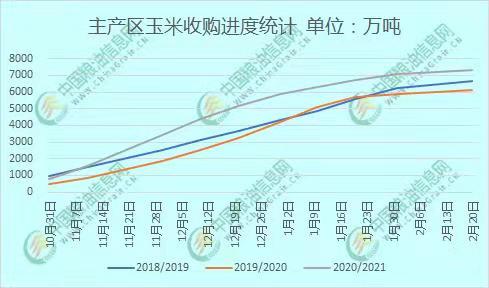 全國玉米價格最新行情分析，全國玉米價格最新行情解析