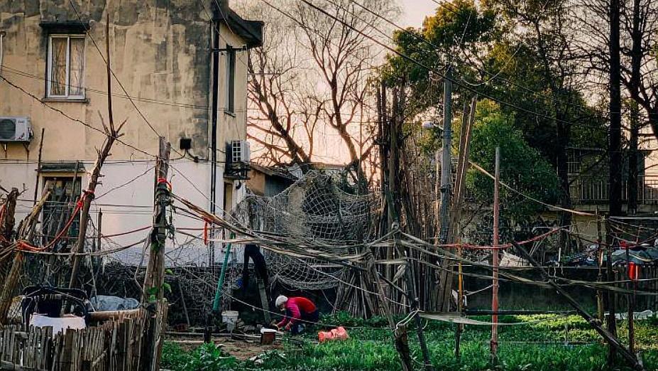 上海最新拆遷動態(tài)，變化中的城市面貌與居民生活，上海拆遷最新動態(tài)，城市面貌與居民生活的變遷