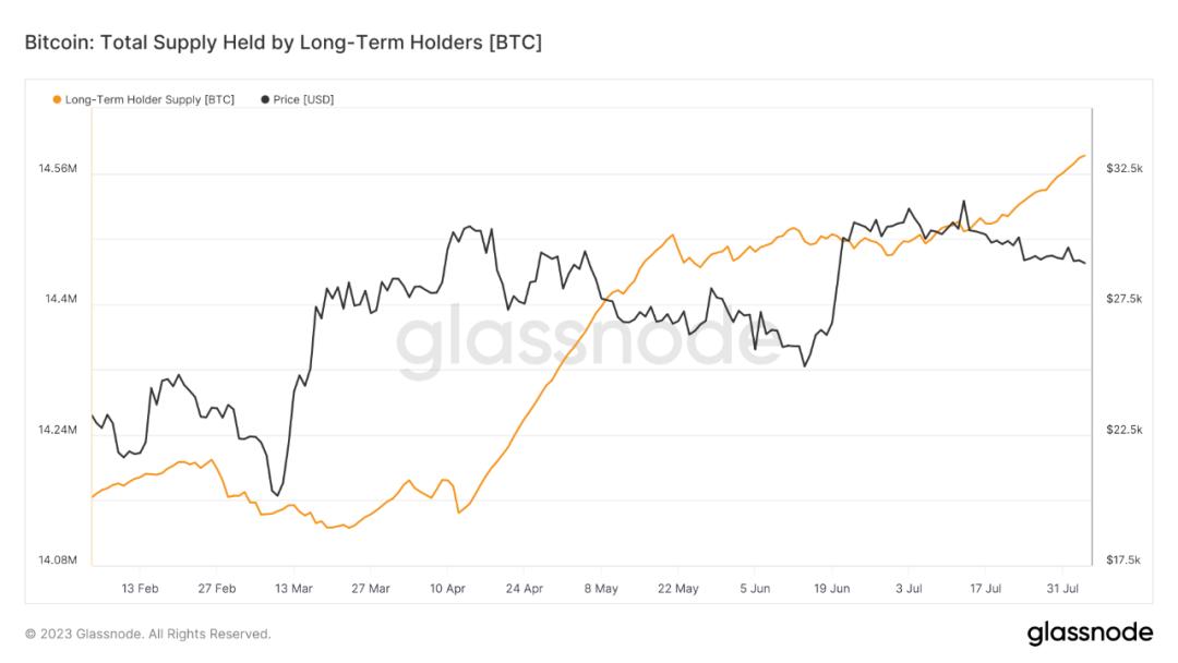 BTC最新價(jià)格行情分析，BTC最新價(jià)格行情解析