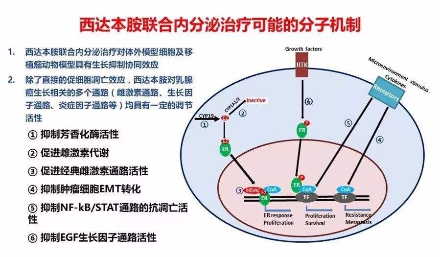 西達本胺最新消息