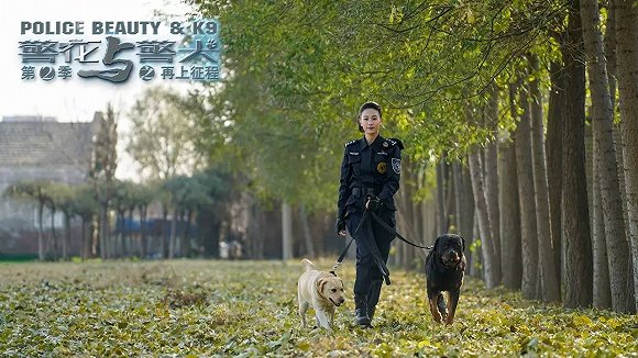 警花與警犬2最新消息，熱血回歸，人與犬的正義新篇章，警花與警犬2熱血回歸，人與犬的正義新篇章最新消息