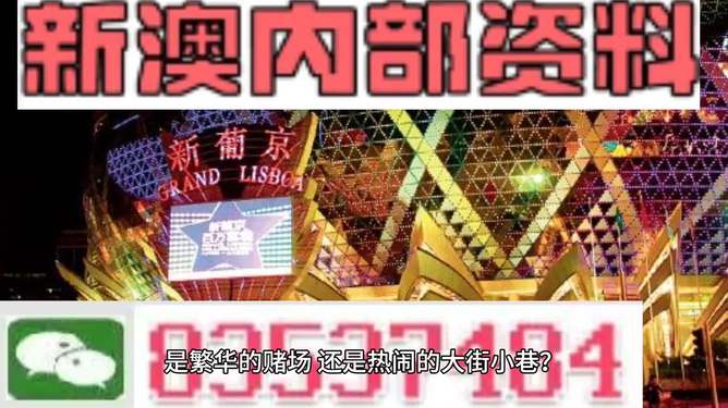 新澳門精準(zhǔn)資料大全管家婆料,實地解析說明_尊享款19.550