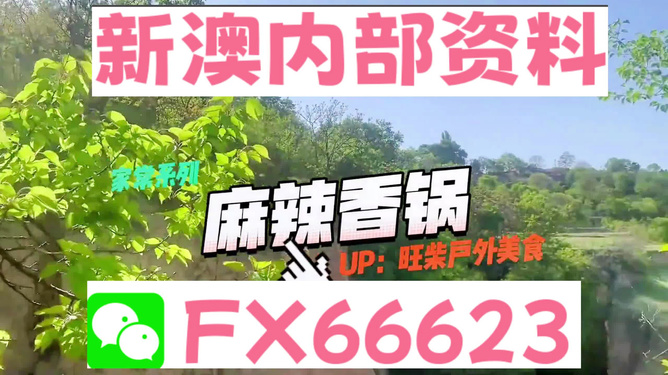 新澳準(zhǔn)資料免費(fèi)提供背后的犯罪問題探討，新澳準(zhǔn)資料免費(fèi)提供背后的犯罪問題深度探討