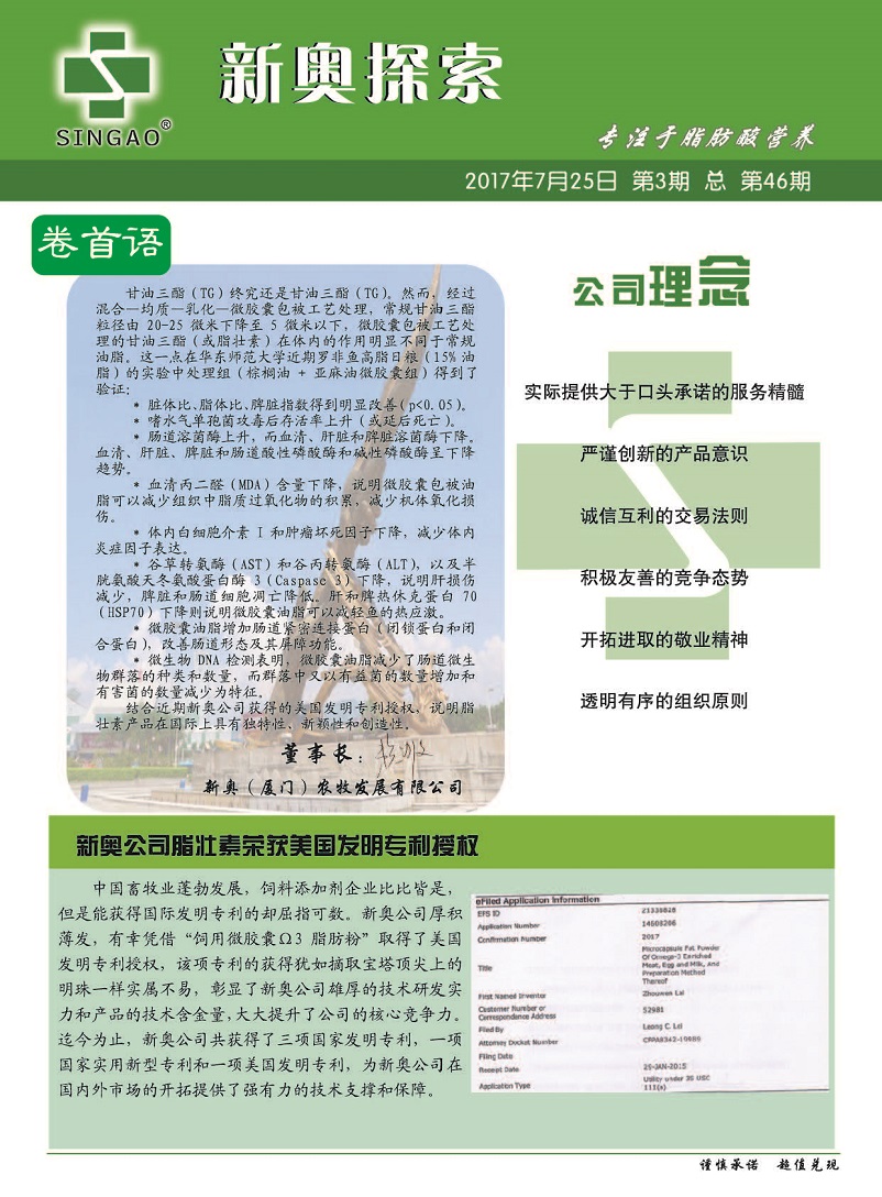 揭秘2024新奧精準(zhǔn)資料免費大全第078期，深度解析與前瞻性探討，揭秘2024新奧精準(zhǔn)資料免費大全第078期，深度解析與前瞻性探討報告全覽