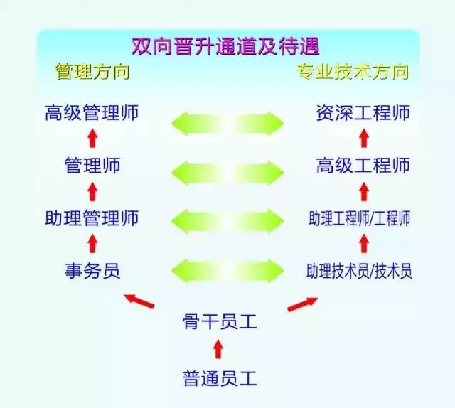 立訊精密最新招聘信息概覽，立訊精密最新招聘信息全面解析