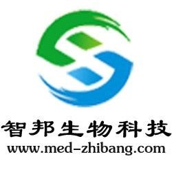 武漢維新智云科技有限公司，引領(lǐng)科技前沿，塑造數(shù)字未來，武漢維新智云科技，引領(lǐng)數(shù)字未來，科技前沿領(lǐng)航者