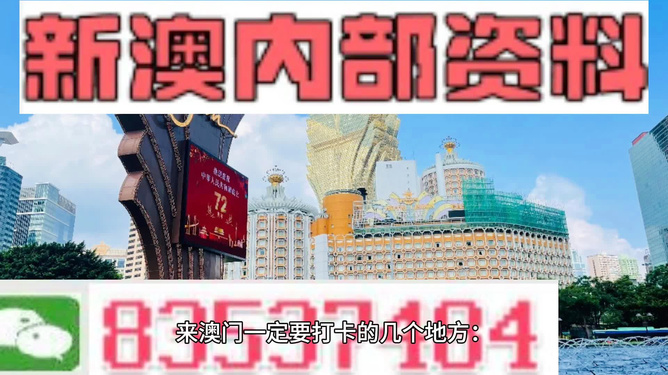 警惕新澳新澳門正版資料的潛在風(fēng)險(xiǎn)——揭示違法犯罪問題，警惕新澳新澳門正版資料的潛在風(fēng)險(xiǎn)，揭示違法犯罪真相