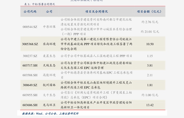 最新五角楓價格表及其市場分析，五角楓最新價格表與市場分析報告