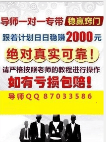 新澳門2024天天彩管家婆資料,全面解析數(shù)據(jù)執(zhí)行_戰(zhàn)略版25.336