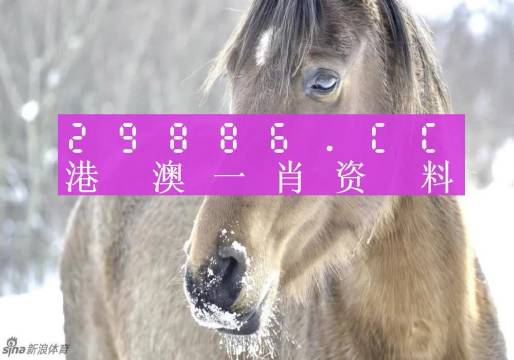 澳門精準(zhǔn)一肖一碼100%，揭示背后的違法犯罪問題，澳門精準(zhǔn)一肖一碼背后的違法犯罪問題揭秘