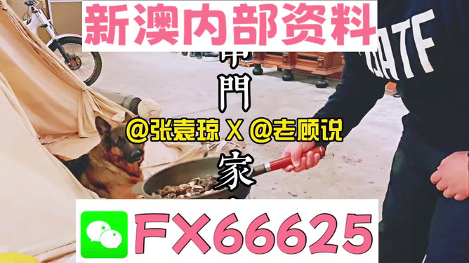 管家婆免費資料大全公開，探索與解析，管家婆免費資料大全揭秘，探索與解析