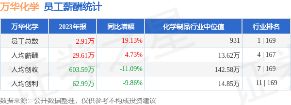 萬(wàn)華公司職工工資表詳解，萬(wàn)華公司職工工資表全面解析