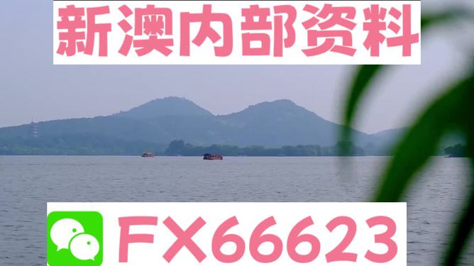 2024新澳精準(zhǔn)資料大全 第6頁