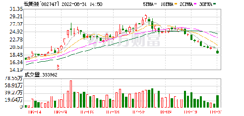 埃斯頓股票，投資潛力與市場(chǎng)前景分析，埃斯頓股票，投資潛力與市場(chǎng)前景深度解析