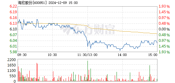 海欣股份目標(biāo)價(jià)30元，深度分析與展望，海欣股份目標(biāo)價(jià)30元，深度分析與未來(lái)展望