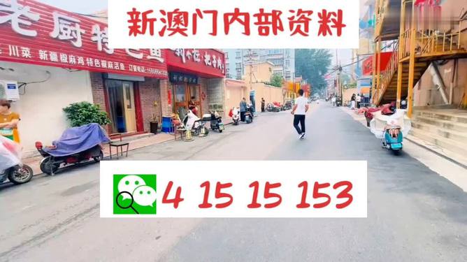 澳門彩票背后的故事，警惕違法犯罪風(fēng)險(xiǎn)，澳門彩票背后的故事，警惕違法犯罪風(fēng)險(xiǎn)揭秘