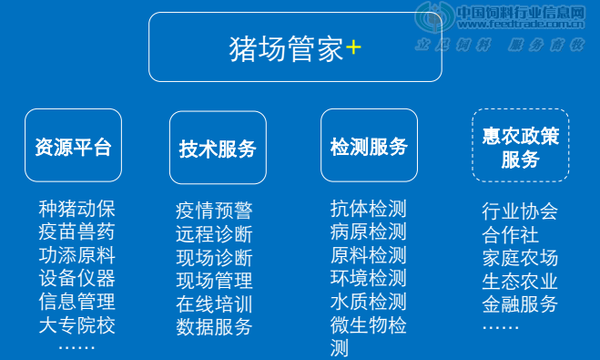 管家婆資料大全,高效設(shè)計計劃_豪華版44.528