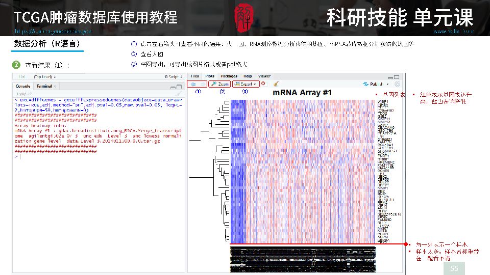 澳門玄機(jī)子14918,數(shù)據(jù)驅(qū)動(dòng)執(zhí)行方案_GM版97.797