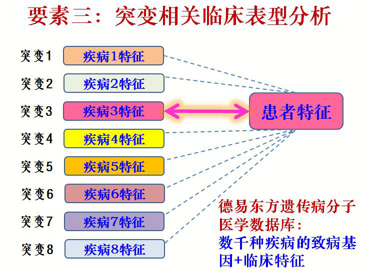 臺塑石化倒閉原因分析，臺塑石化倒閉原因深度解析