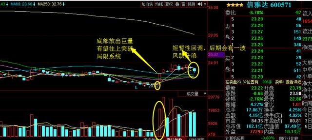 浙大網(wǎng)新為何不漲