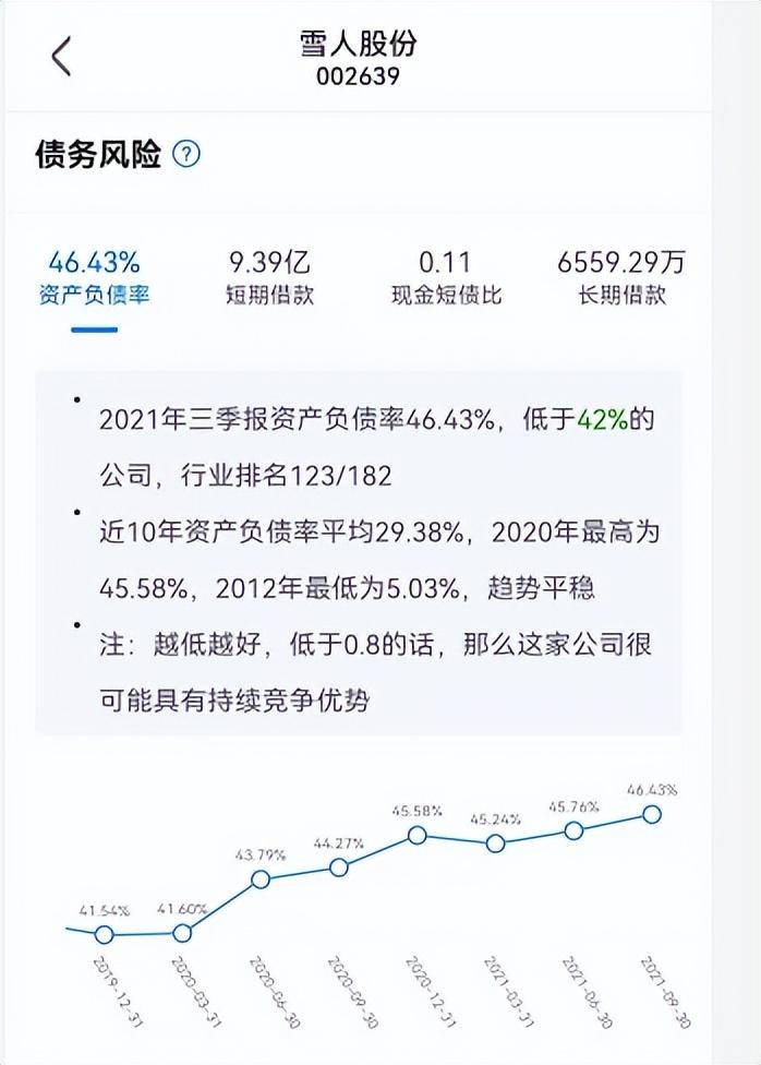 雪人股份股票表現(xiàn)分析，現(xiàn)狀、前景與影響因素，雪人股份股票全面解析，現(xiàn)狀、前景與影響因素