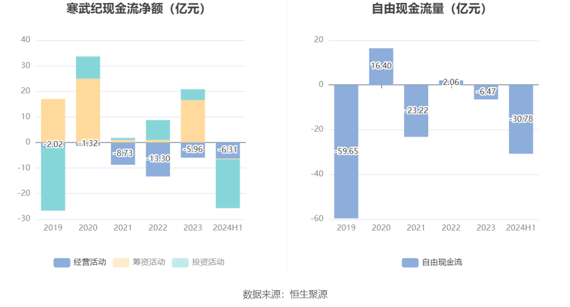 寒武紀2024年目標價的深度解析與展望，寒武紀2024年目標價的深度解析及展望，未來趨勢與市場預測