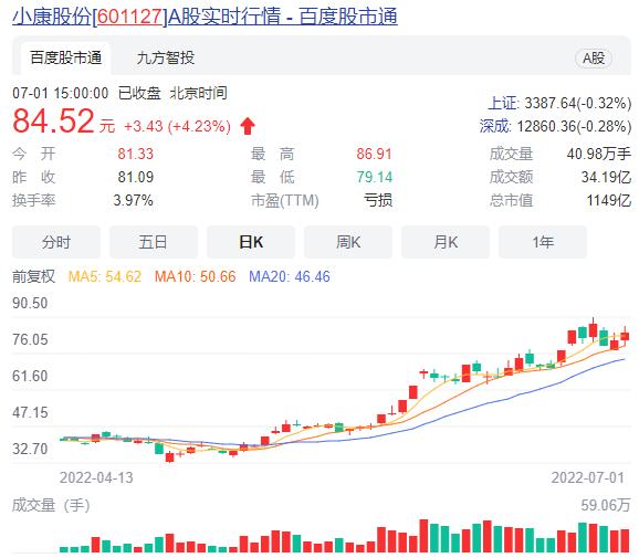 探究賽力斯股票暴跌原因，賽力斯股票暴跌原因深度探究