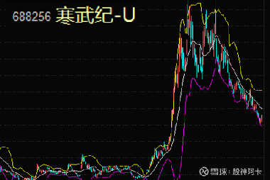 寒武紀(jì)重組最新消息，引領(lǐng)科技變革的新篇章，寒武紀(jì)重組引領(lǐng)科技變革新篇章，最新消息揭秘