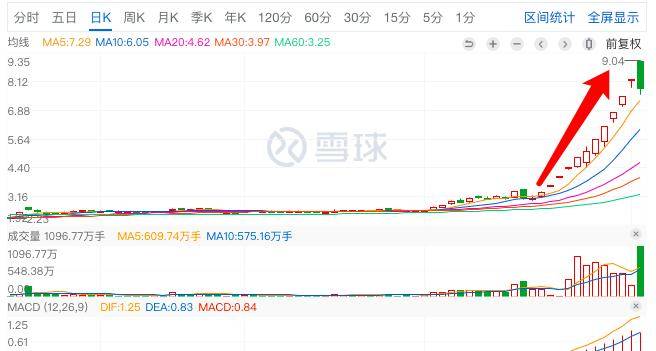 君正集團(tuán)，是妖股還是價(jià)值投資之選？，君正集團(tuán)，價(jià)值投資還是妖股之爭(zhēng)？