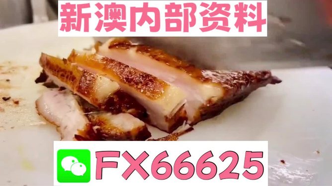 新奧長(zhǎng)期免費(fèi)資料大全，深度挖掘與探索，新奧長(zhǎng)期免費(fèi)資料深度挖掘與探索大全