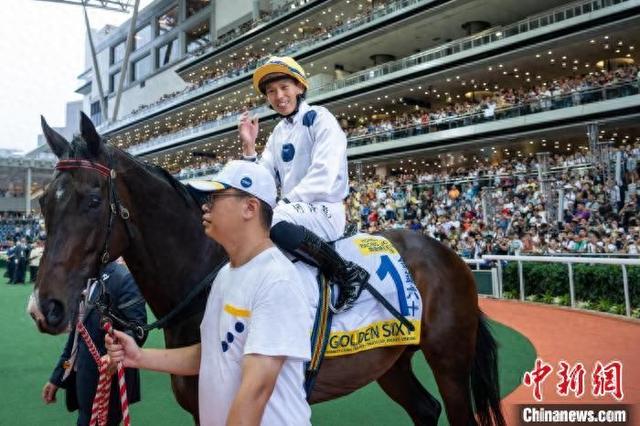 香港特馬王資料免費(fèi)公開，揭露違法犯罪問題的重要性，香港特馬王資料揭露違法犯罪問題的重要性，公開資料揭示真相