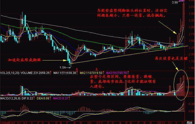 探尋未來之星，2025年有望翻十倍的潛力股票，探尋未來之星，潛力股票展望2025年十倍增長之路