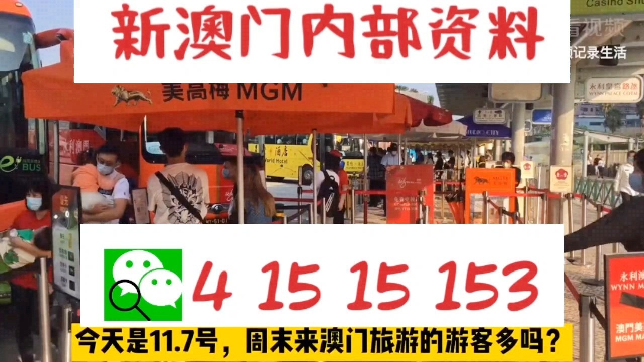 關于新澳門資料大全及家野中特的探討——警惕違法犯罪風險，澳門資料大全及家野中特探討，警惕潛在違法犯罪風險