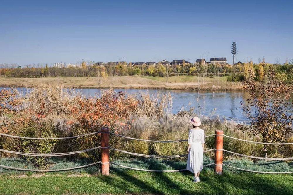 西安最新濕地公園，生態(tài)與文化的完美融合，西安最新濕地公園，生態(tài)與文化的和諧共融