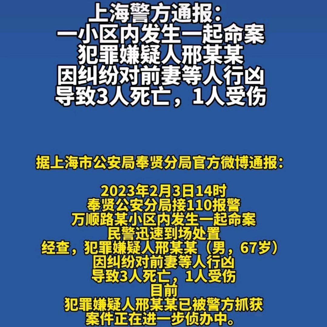 上海某小區(qū)發(fā)生刑案致一死，悲劇背后的警示與反思，上海小區(qū)刑案致一死，悲劇背后的警示與反思