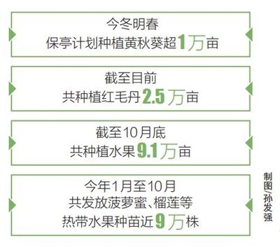 風(fēng)險與犯罪問題/陷阱揭秘