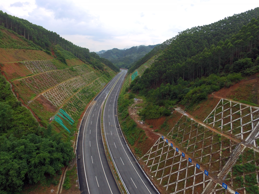 梧州最新道路，城市發(fā)展的脈絡(luò)與未來展望，梧州最新道路，城市發(fā)展的脈絡(luò)與未來展望展望