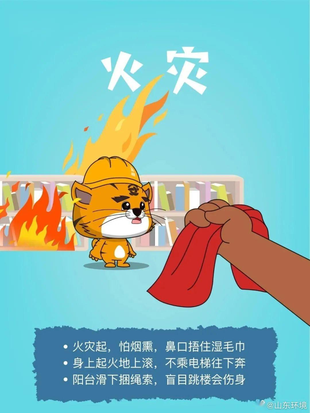 探究猴災(zāi)影響，未來至2025年的挑戰(zhàn)與應(yīng)對策略，猴災(zāi)影響深度解析，至2025年的挑戰(zhàn)與應(yīng)對策略