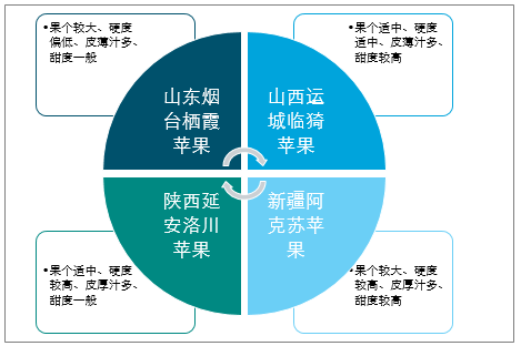 陜西蘋果產(chǎn)業(yè)全產(chǎn)業(yè)鏈深度解析，陜西蘋果產(chǎn)業(yè)全產(chǎn)業(yè)鏈深度探究