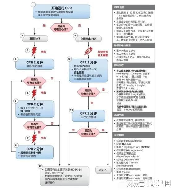 最新CPR（心肺復(fù)蘇術(shù)）流程詳解，最新CPR（心肺復(fù)蘇術(shù)）流程全面解析