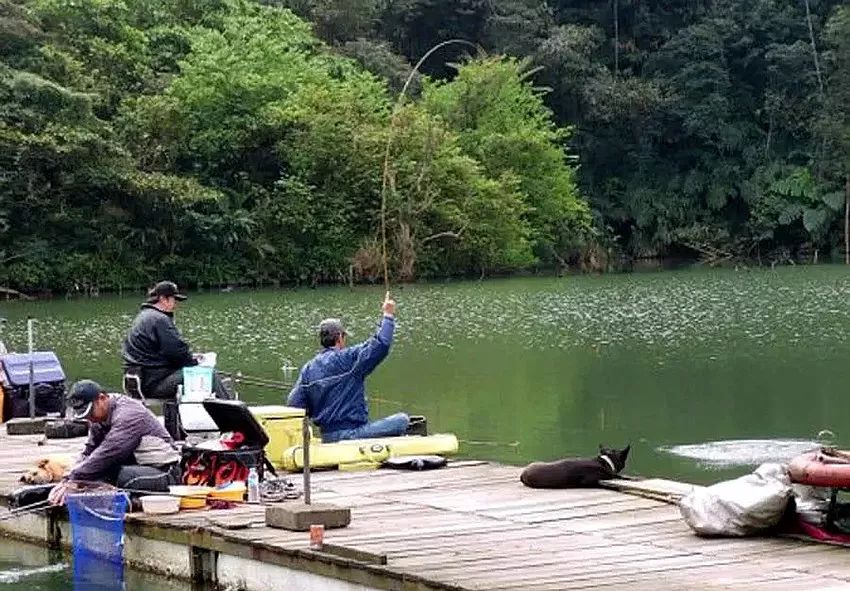 釣魚圈的奇事趣聞，釣魚圈里的奇聞趣事