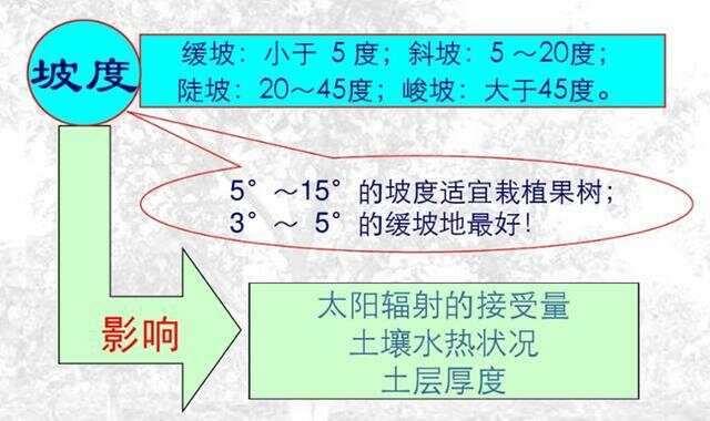 坡度超過(guò)25度耕地減少的原因分析，坡度超過(guò)25度耕地減少的原因探究