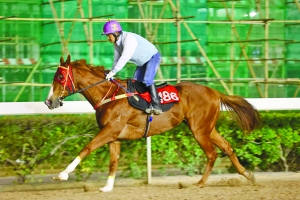 關(guān)于澳門特馬今晚開獎(jiǎng)的討論，澳門特馬今晚開獎(jiǎng)討論背后的犯罪風(fēng)險(xiǎn)警示