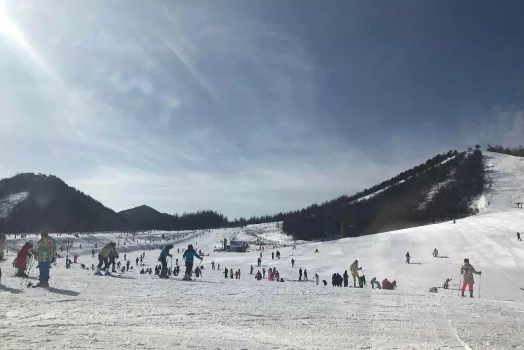 滑雪最好的地方，探索雪域奇境的魅力，探索雪域奇境，滑雪的最佳勝地