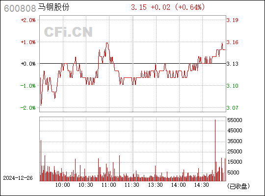 深度解析與未來展望（或 馬鋼股票深度解析及未來展望）