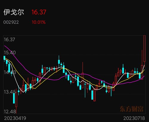 伊戈?duì)柟砂蓶|方財(cái)富，股市新星與投資者的新選擇，伊戈?duì)柟砂蓶|方財(cái)富，股市新星，投資者的新選擇